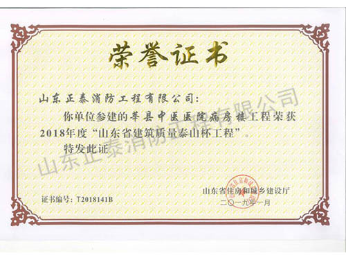 莘縣中醫醫院病房樓工程泰山杯